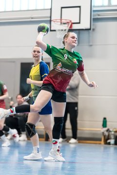 Bild 202 - F HSG Kremperheide/Muensterdorf - HSG HerKollNeu : Ergebnis: 43:29